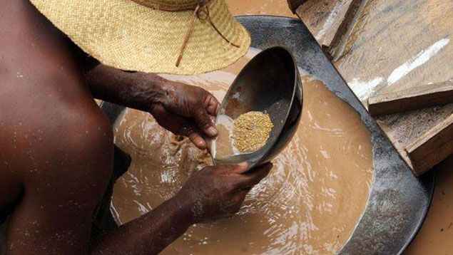 Minería ha arrasado con 135 mil hectáreas de bosque en el Esequibo, dice SOS Orinoco