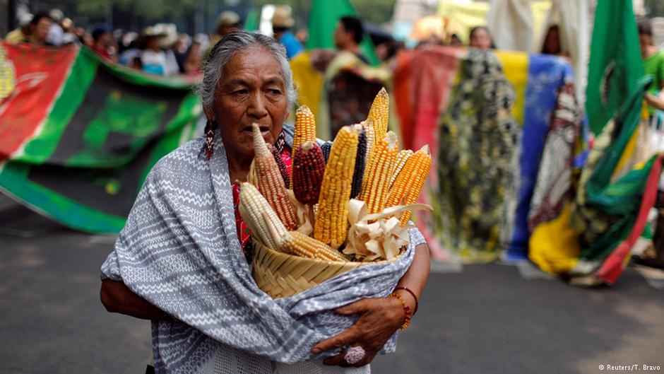 Protestas contra Monsanto en Ciudad de México el 21 de mayo de 2016. Reuters/T. Bravo