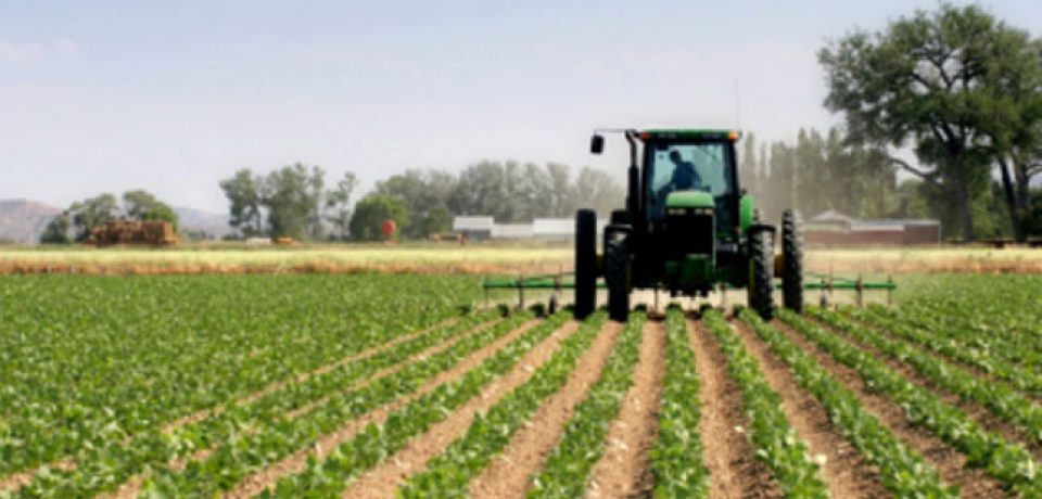 En lo que va de año, van dos intentos de sicariato en el campo, alerta Centro de Estudios Agroalimentarios