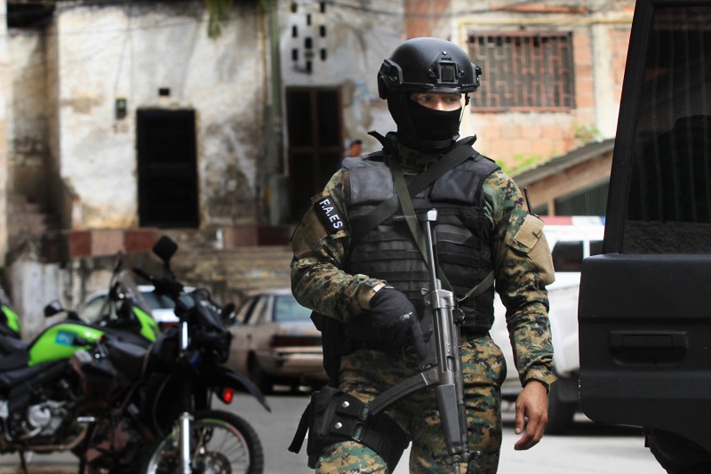 Cuerpos de seguridad