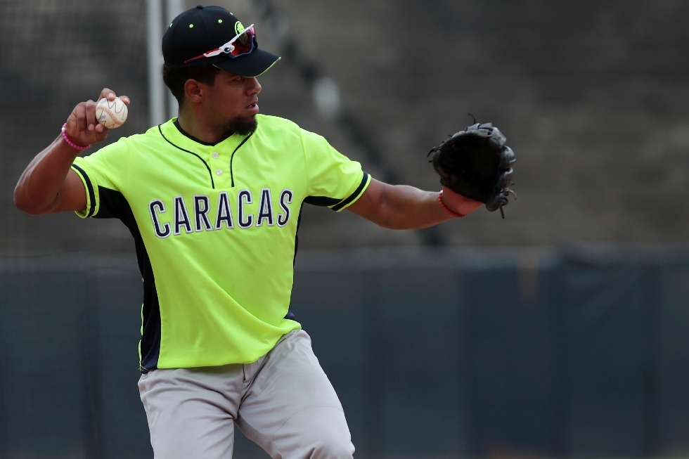 Leones del Caracas béisbol