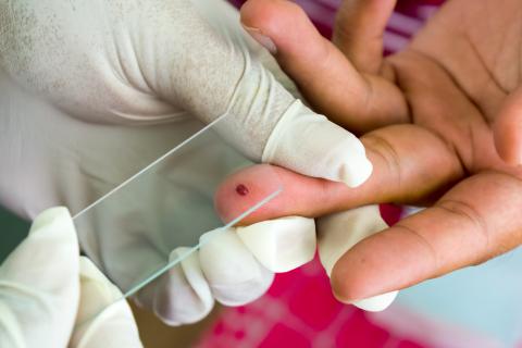Venezuela aún lidera las cifras de malaria en América, dice OMS