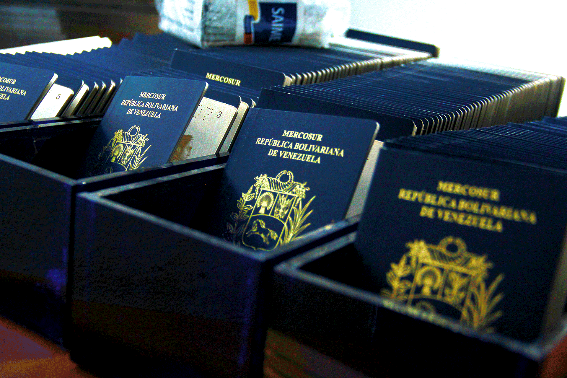 Director del Saime sobre pasaportes: No tiene sentido imprimirlos sino cuando volvamos a una normalidad relativa