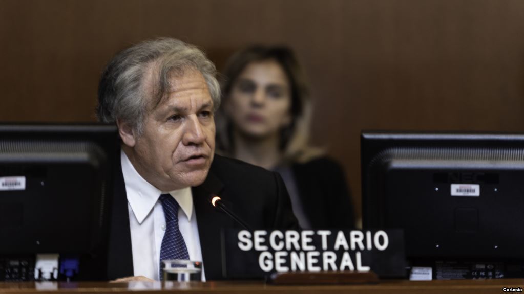 Cohabitación que propone Almagro es una tesis “más realista”, opinan analistas