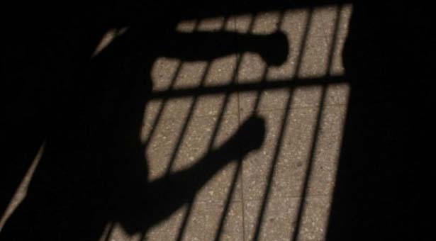 bajo la custodia-Estado-dgcim-sebin-
