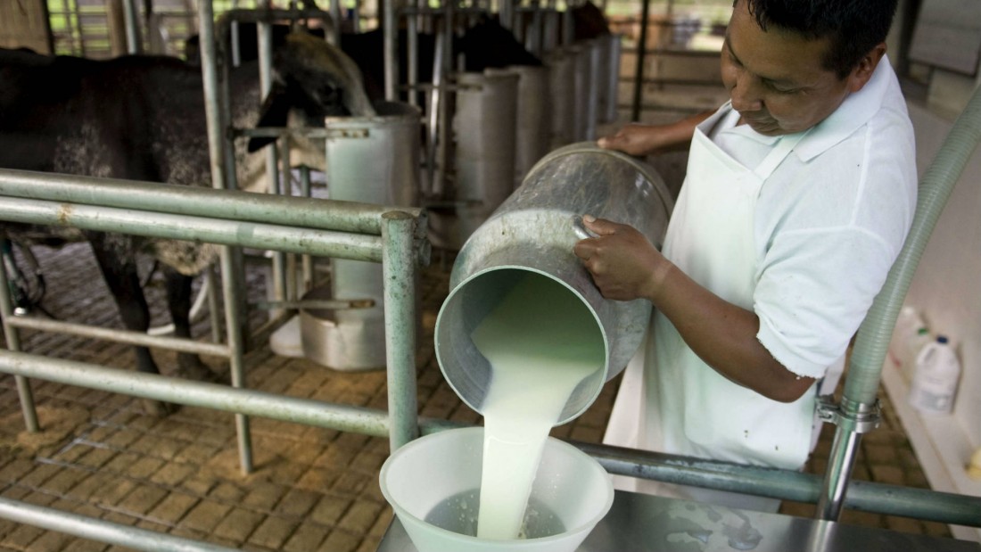 Procesadoras de leche han dejado de recibir el producto por las lluvias, alertan industriales