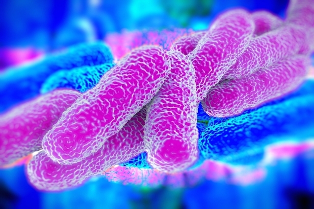 Superbacterias