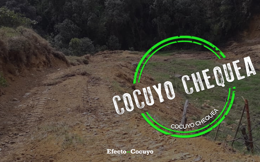 No están explotando coltán en Mérida pero sí hubo delito ambiental