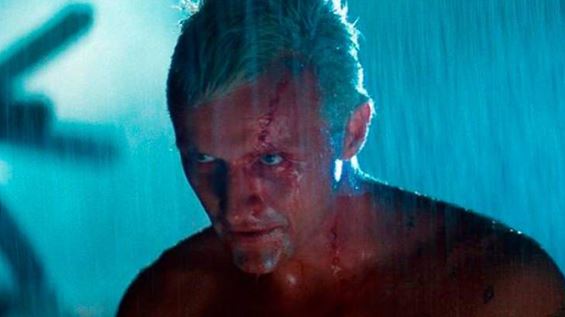 Hauer