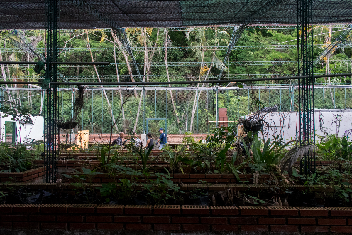 Jardin Botanico Caracas