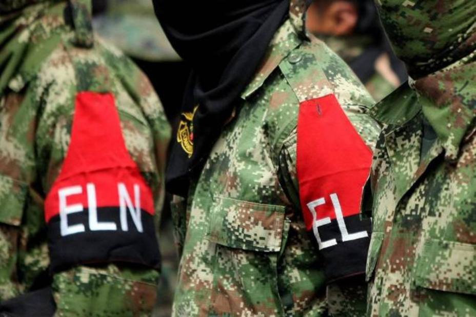 En cinco estados y 325 escuelas habría presencia de guerrillas colombianas