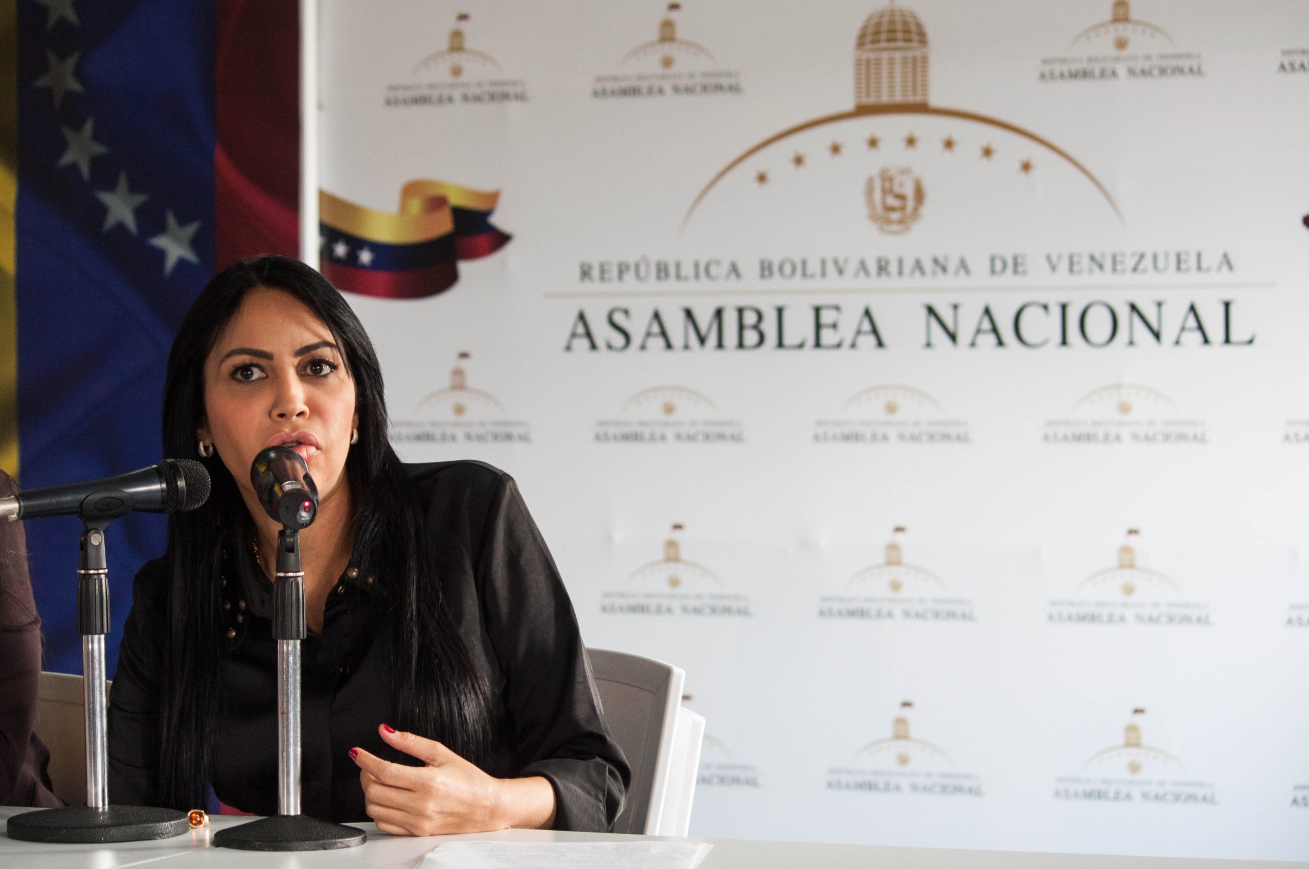 Delsa Solorzano: Chavismo pensó que se cerraría investigación sobre Venezuela por visita a la CPI