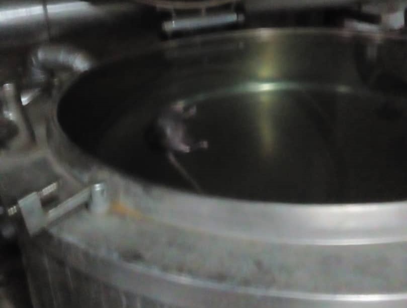 infestacion de ratas en el hospital vargas