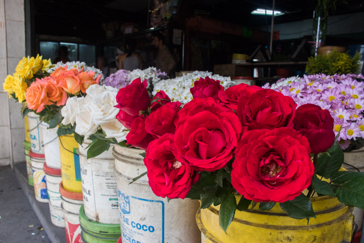 flores dia de muertos venezuela