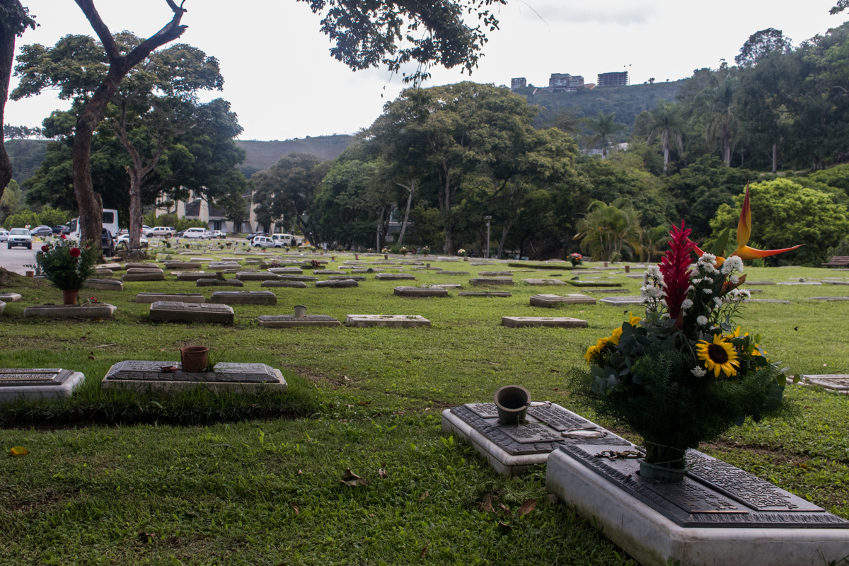 dia de flores venezuela
