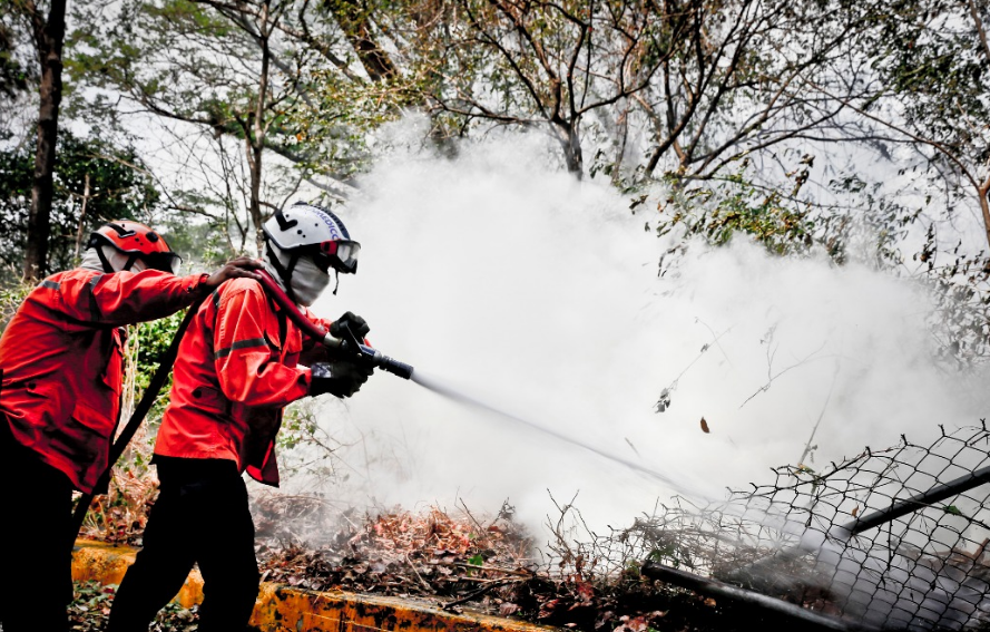Incendio en los alrededores de El Algodonal