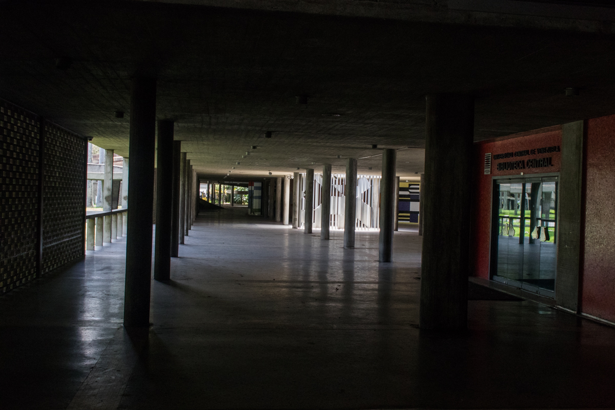 UCV decidirá cuándo y cómo retomar clases a finales de septiembre