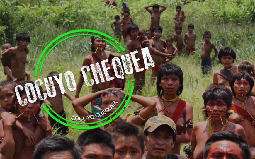 700 indígenas entre los 9.900 muertos por COVID-19 en la Panamazonía