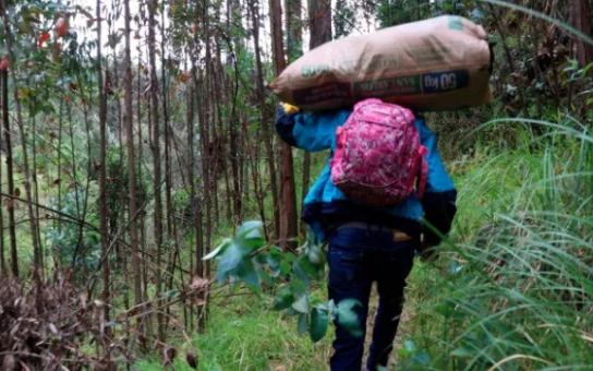 Imputan a 13 ciudadanos por tráfico de personas en frontera con Colombia