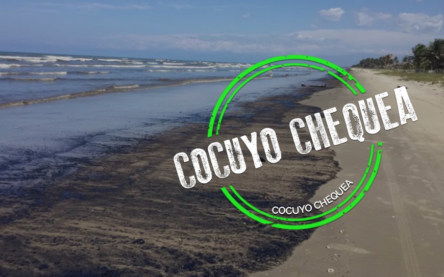 Verdades y mentiras sobre derrame petrolero que afectó Morrocoy