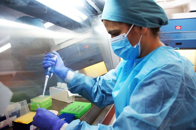 Solo entre 5% y 6% de las pruebas de coronavirus en Venezuela son PCR, dice Ocha | cifras covid-19 venezuela