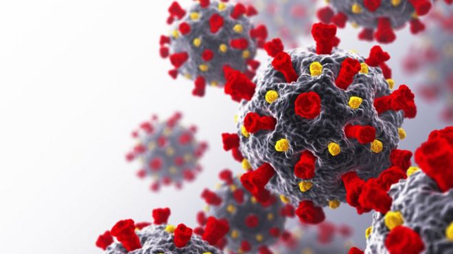 Tratamiento del covid-19: el punto débil del coronavirus que encontró una científica mexicana (y cómo puede servir para neutralizarlo)