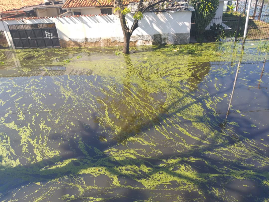 Habitantes de Mata Redonda temen a una epidemia sanitaria tras seis días con viviendas inundadas 