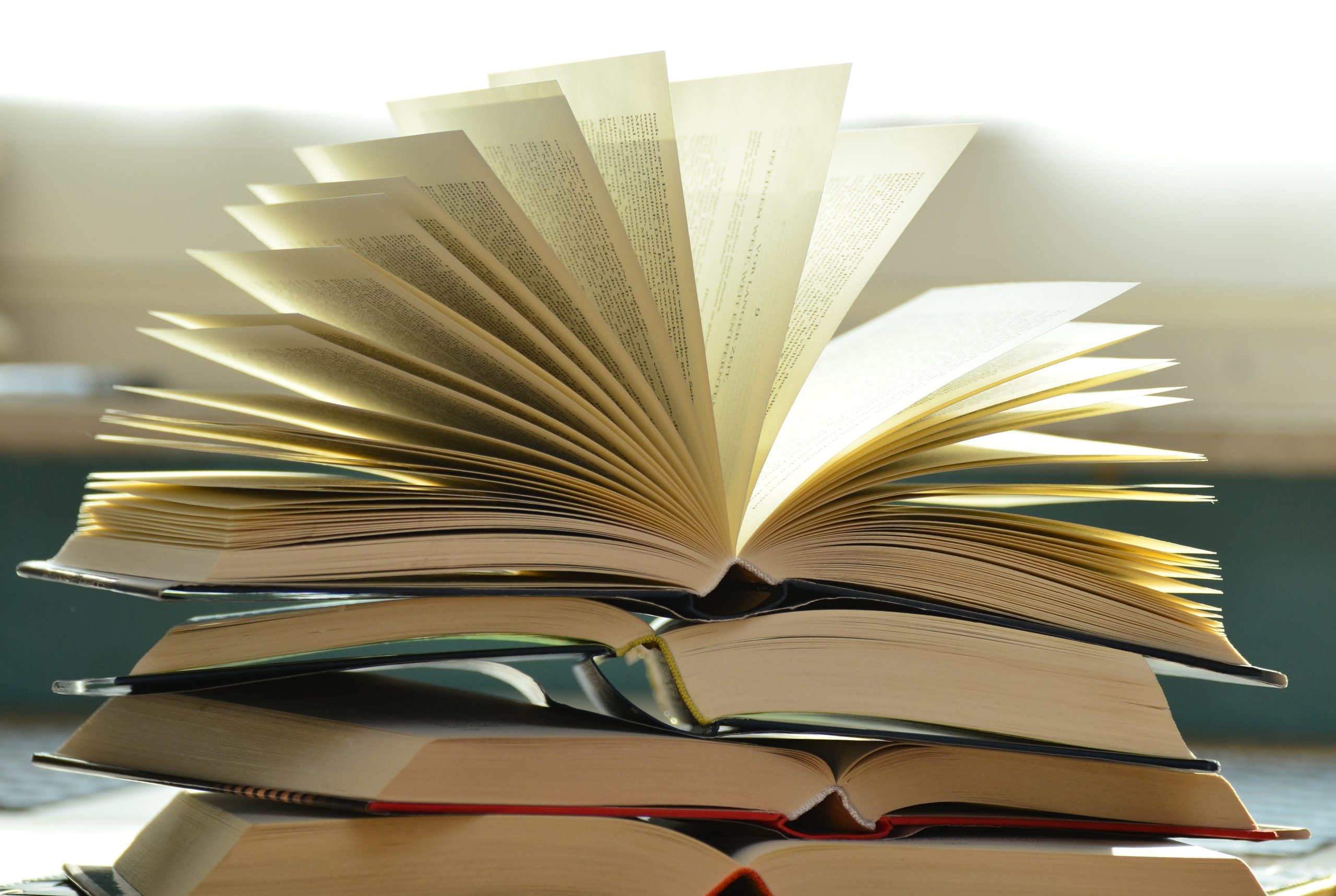lectura