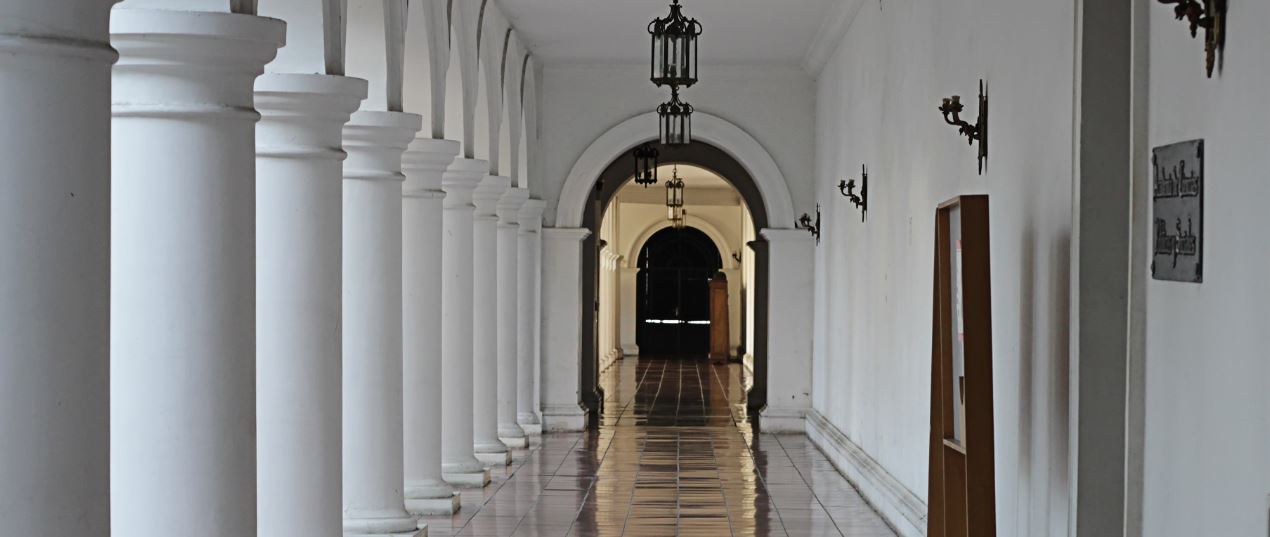 Academia de Medicina afirma que es prudente esperar más datos del Carvativir | lactancia materna