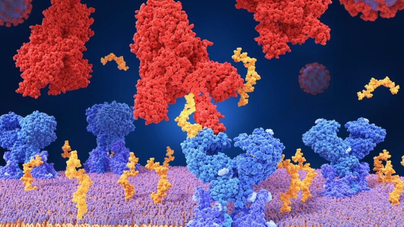 Coronavirus: 7 cosas que aprendimos sobre la covid-19 en un año de pandemia