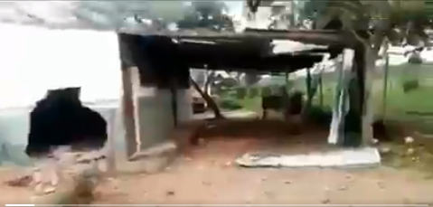 FundaRedes alerta sobre bombardeos y destrucción de casas en Apure este #3abr