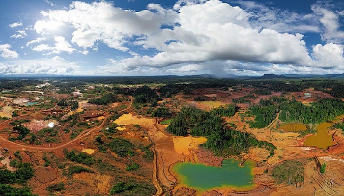 La grave explotación de recursos y nula gestión ambiental destruyen la biodiversidad venezolana según ONG