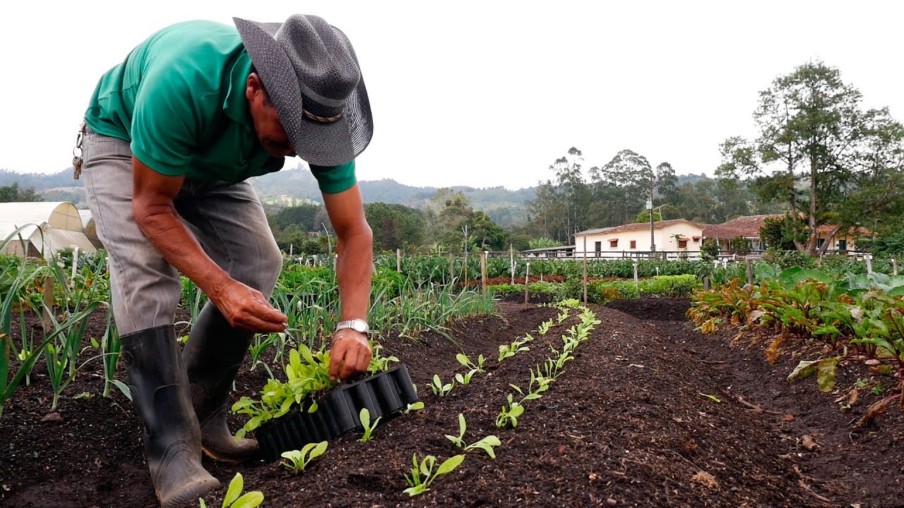 Agroproductores nacionales