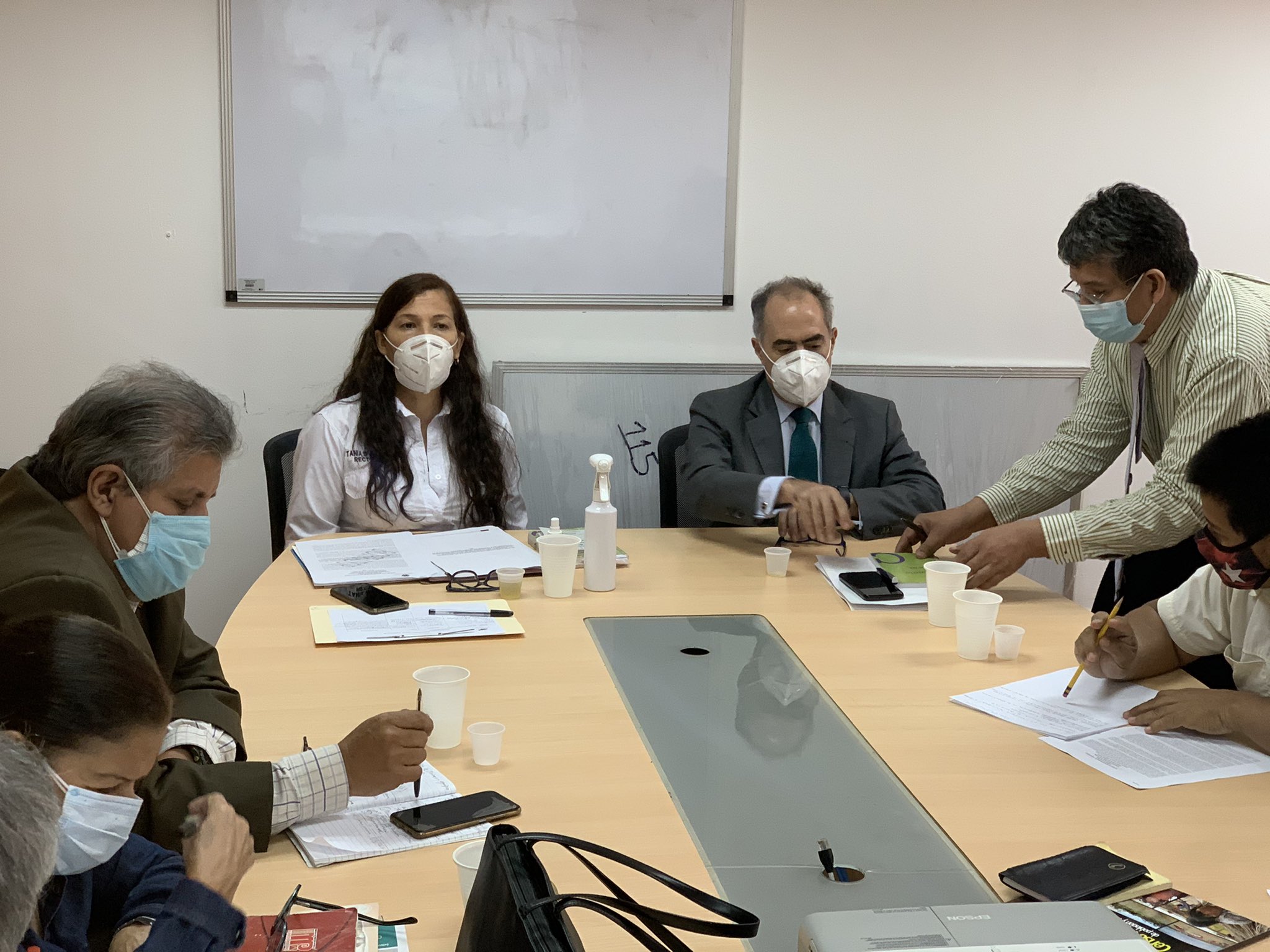 10 expertos evaluarán el sistema de votación en “auditoría integral” aprobada por el CNE