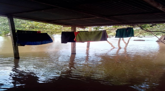 Crecida del río Orinoco arrasa con sembradíos en Delta Amacuro