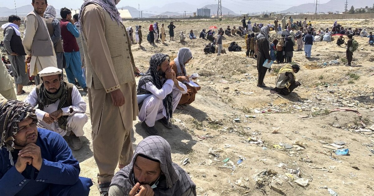AI denuncia una masacre de los talibanes contra la minoría étnica hazara