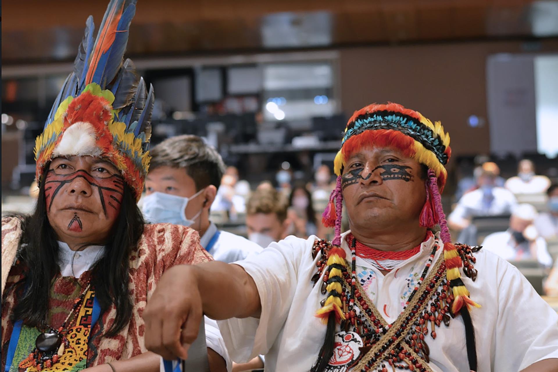 Unión Internacional para la Conservación prueba proteger 80 % de la Amazonía para 2025