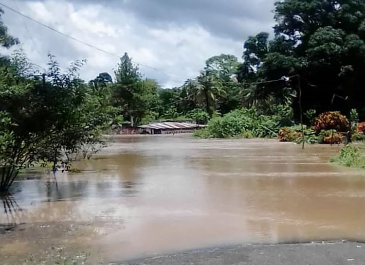 Fallece adolescente en Caroní por las lluvias
