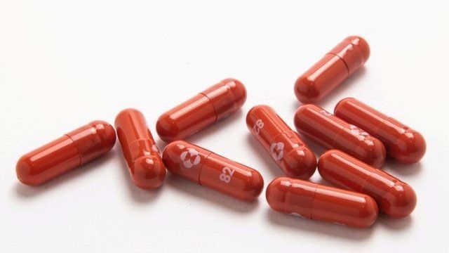 OMS da luz verde al molnupiravir, primer tratamiento oral contra el COVID-19