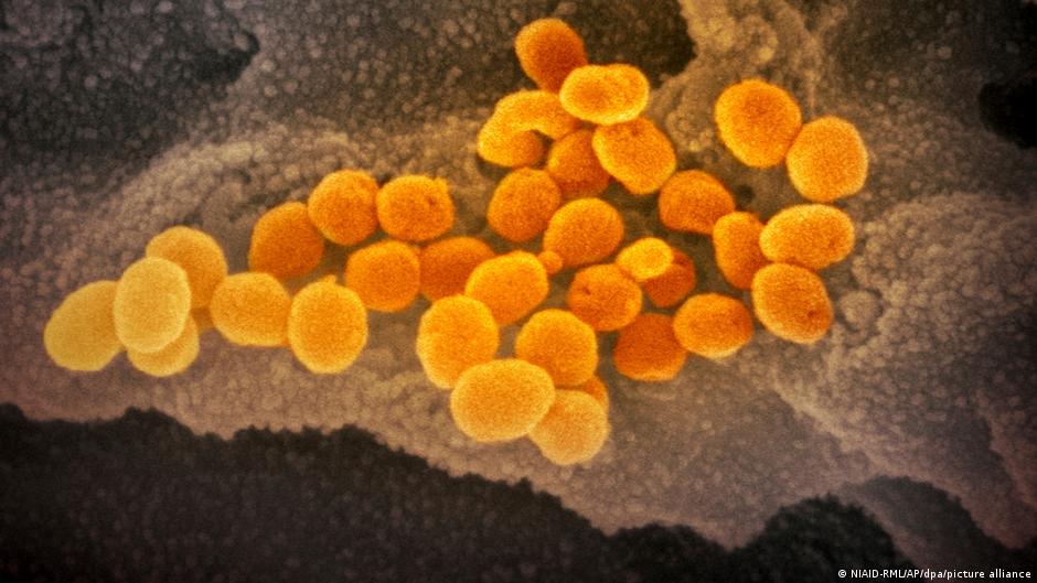 Confirman variante ómicron en cinco países de Europa