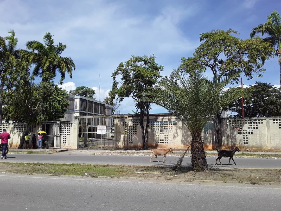 Centros desolados en Güiria