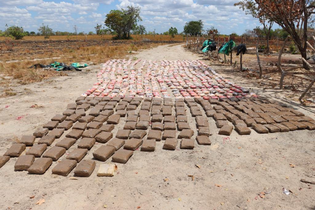 cocaína y marihuana