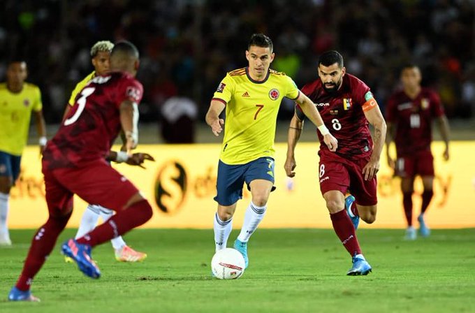 Vinotinto colombia