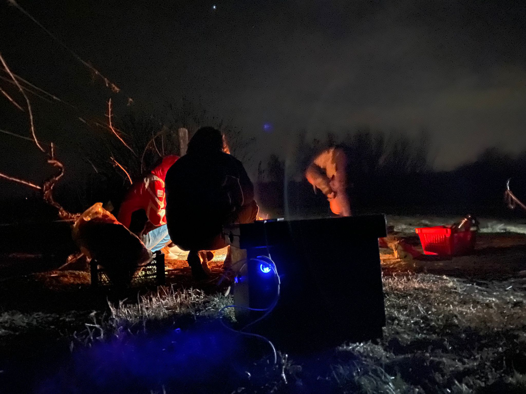 Venezolana presta ayuda humanitaria a migrantes en la frontera de Serbia