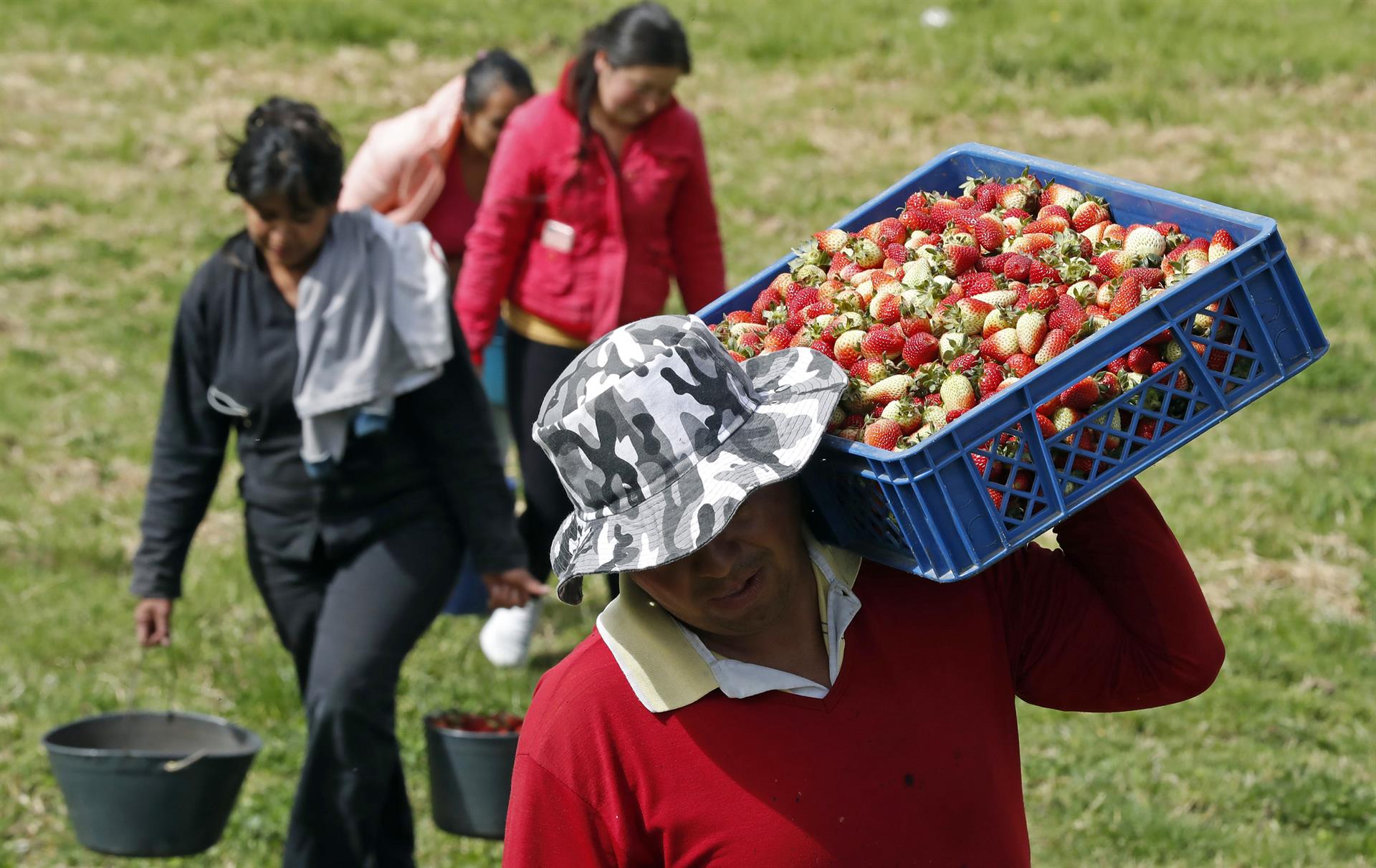La guerra en Ucrania ensombrece el horizonte económico en América Latina