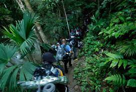 OIM estima que 200 mil migrantes cruzarán la selva del Darién este 2022