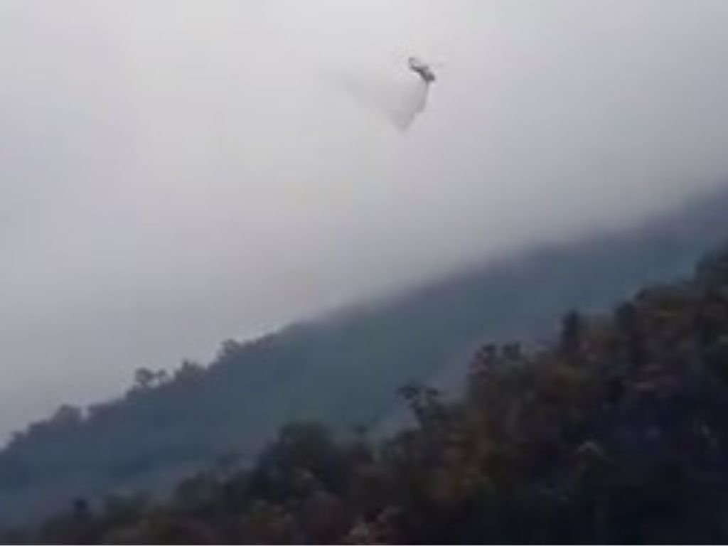 Director de Protección Civil asegura que controlaron 70 % del incendio en El Ávila
