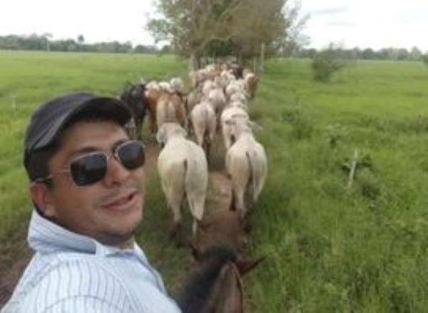 Fallece ingeniero agrónomo tras ataque de abejas africanas en Táchira