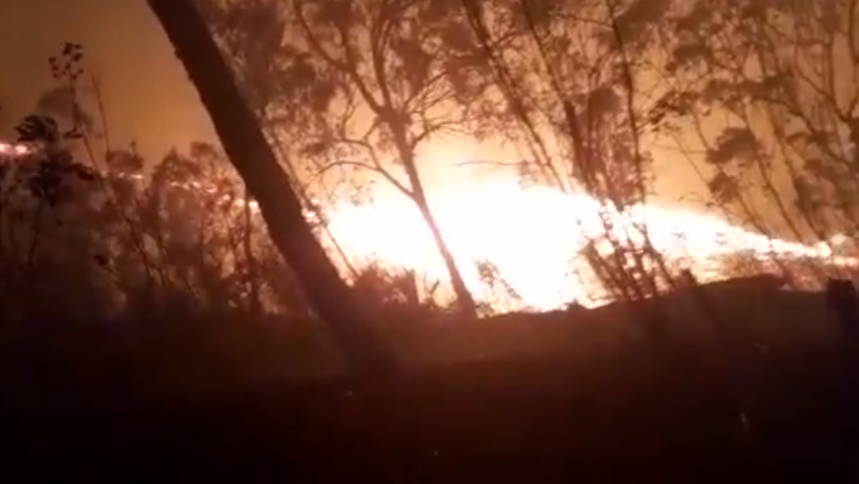 Incendio en El Ávila: restringen paso por la Cota Mil este #4Abr