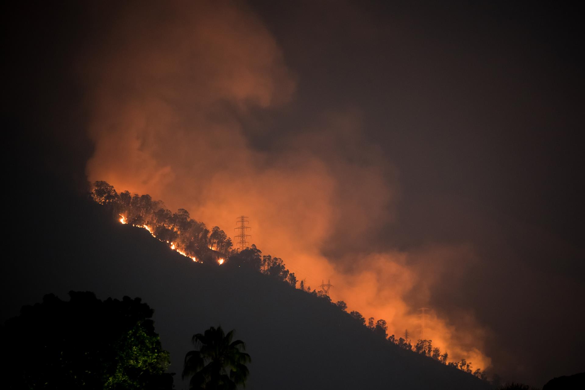 Incendio en El Ávila: ministro dice que incrementaron "pie de fuerza" para controlar llamas